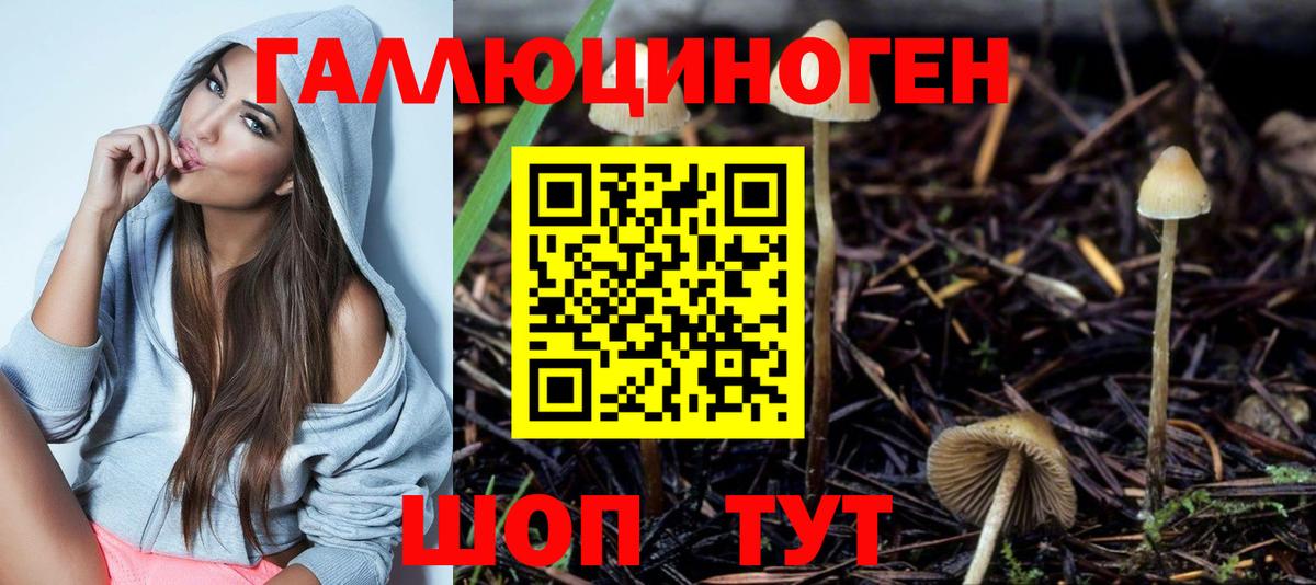 Галлюциногенные грибы GOLDEN TEACHER  Вход с VPN  Новозыбков 